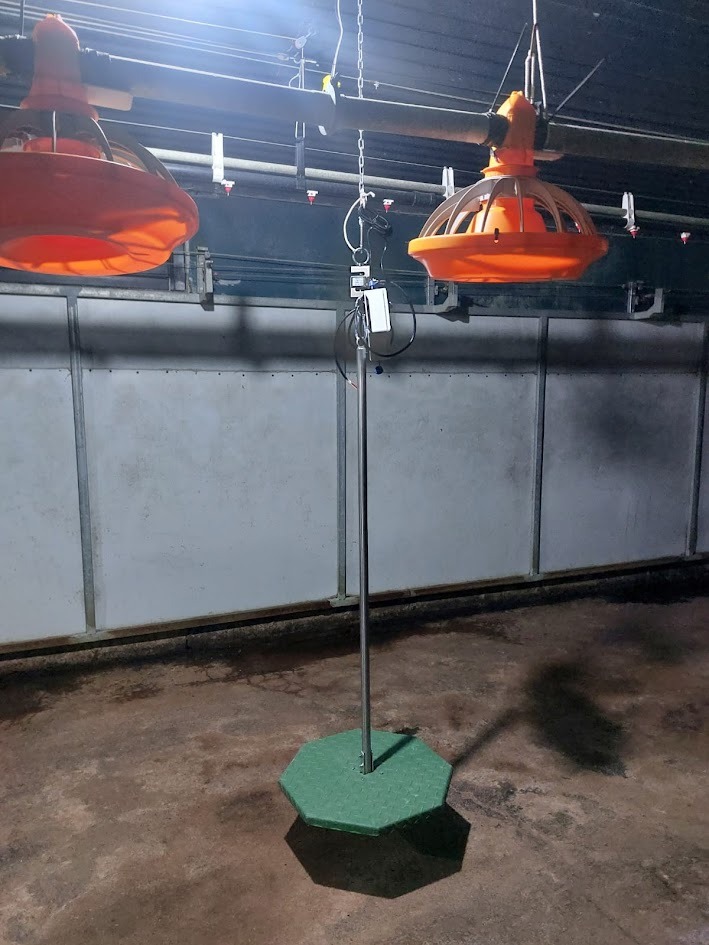 Bascula Avicola/ Poultry Scale